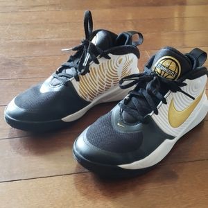 Boys Nike Team Hustle D 9 Basketball Shoes